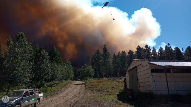 Incendio forestal en la zona de Aluminé.