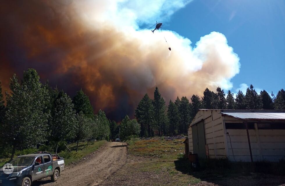 Preocupación por los incendios en Aluminé: ya se consumieron 400 hectáreas