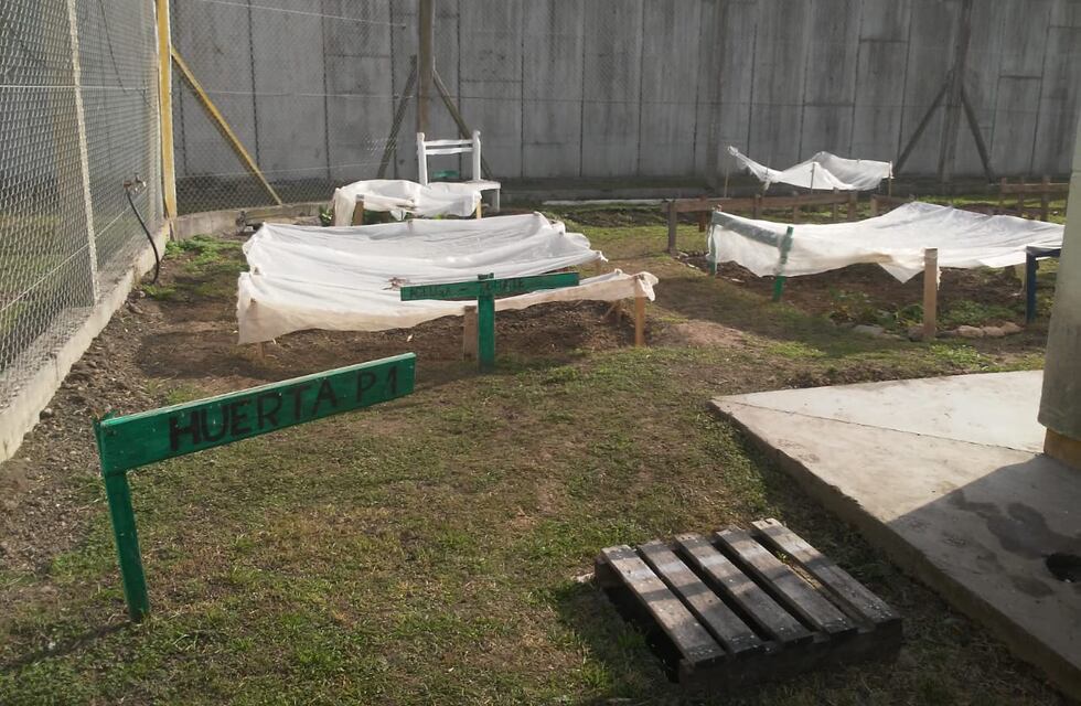 Desarrollan una huerta en la cárcel de mujeres de Azul