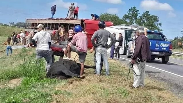Vecinos carnearon animales en la banquina