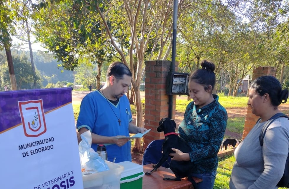 Eldorado: realizarán un operativo sanitario para mascotas en el barrio Iberia