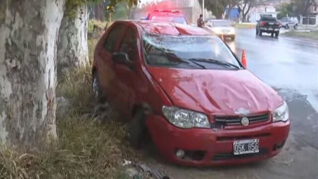 Chocó contra un árbol en avenida Capdevila.