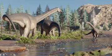 Se encontraron restos fósiles de un nuevo dinosaurio herbívoro de cuello largo en Neuquén.