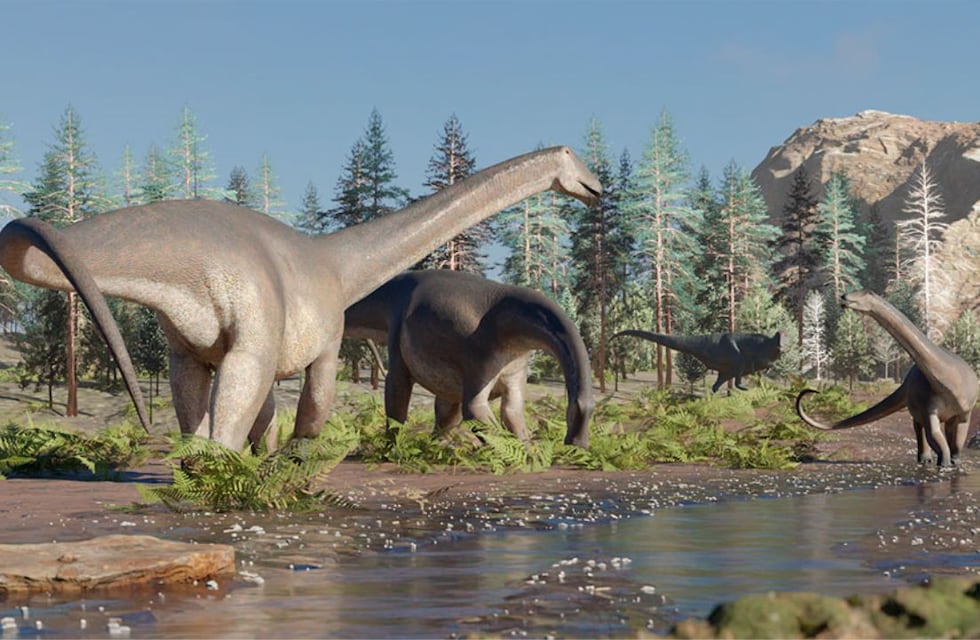Sorprendente hallazgo en Neuquén: encontraron restos fósiles de una nueva especie de dinosaurio herbívoro