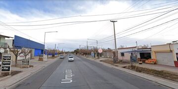 El impresionante video de un peligroso animal caminando por las calles de Maipú