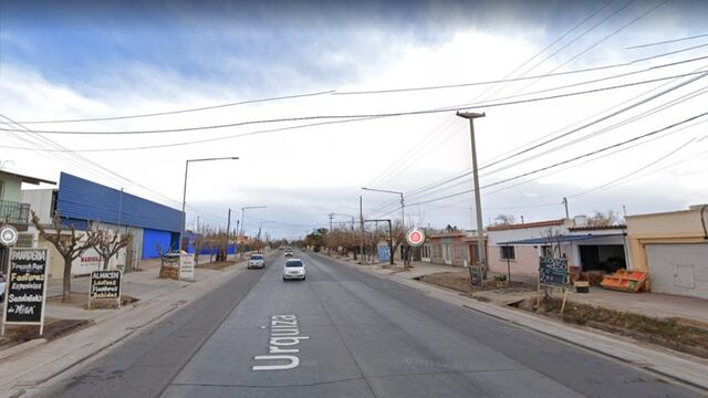 El impresionante video de un peligroso animal caminando por las calles de Maipú