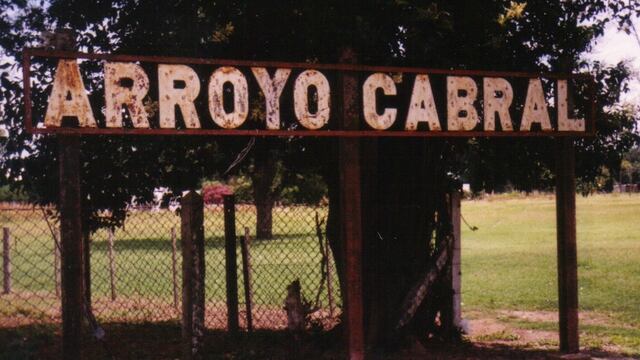 Nació un ternero con dos cabezas en el interior provincial.