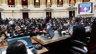 La Cámara de Diputados aprobó suspender las PASO (Foto: HCDN)