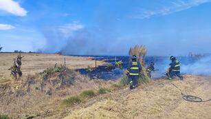 Los bomberos zapadores debieron trabajar arduamente para apagar el fuego en los pastizales