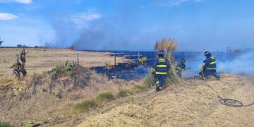 Los bomberos zapadores debieron trabajar arduamente para apagar el fuego en los pastizales