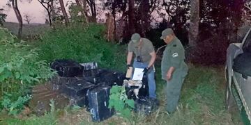 Encuentran marihuana escondida entre las malezas en 9 de Julio.
