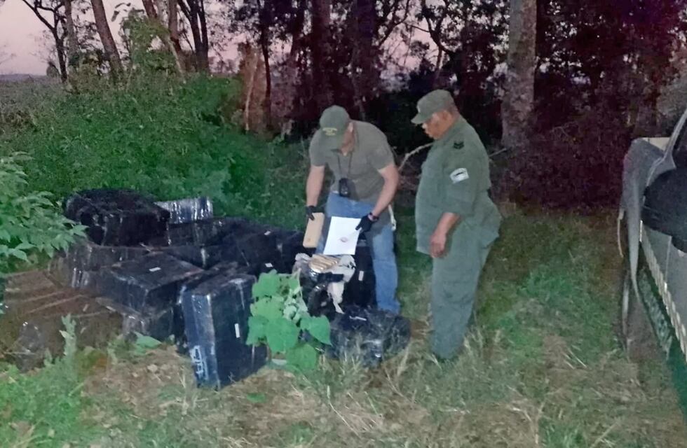 Encuentran marihuana escondida entre las malezas en 9 de Julio