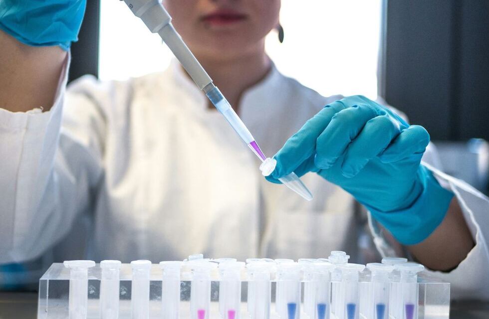 Una investigación científica descubrió cuál es la proteína asociada con el envejecimiento