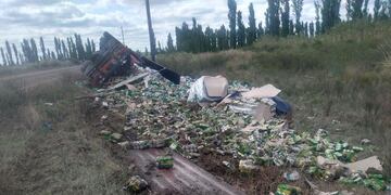 El camión quedó a un costado del camino y se desparramó toda la carga.