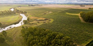 María Saavedra: “Tres Arroyos tiene condiciones excepcionales para producir aceite de oliva y vinos de calidad”