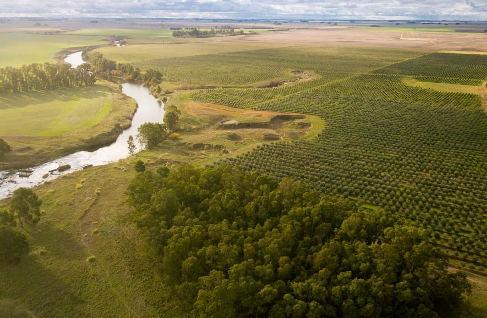 María Saavedra: “Tres Arroyos tiene condiciones excepcionales para producir aceite de oliva y vinos de calidad”