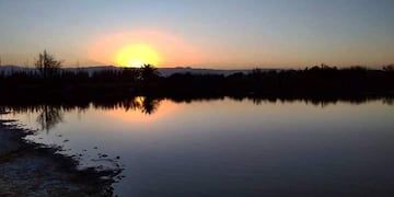 La Laguna del Viborón, un humedal para visitar en Maipú.