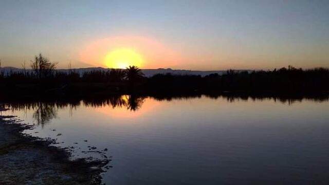 La Laguna del Viborón, un humedal para visitar en Maipú.