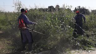 Continúan los desmalezados en Rafaela