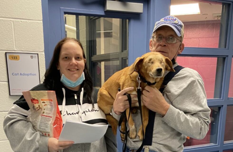 La emotiva historia de Rusty, el perro que perdió su vista por una enfermedad y fue adoptado