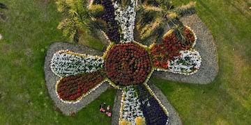 Llevadas adelante por la Municipalidad de Posadas.