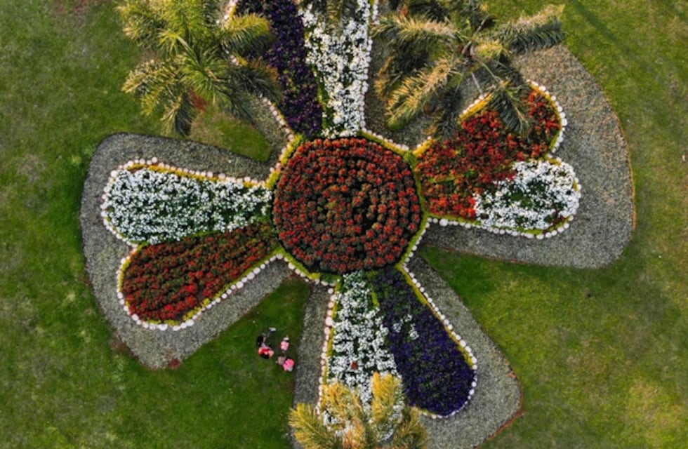 Más de 2 mil plantines fueron plantados en rotondas de Posadas