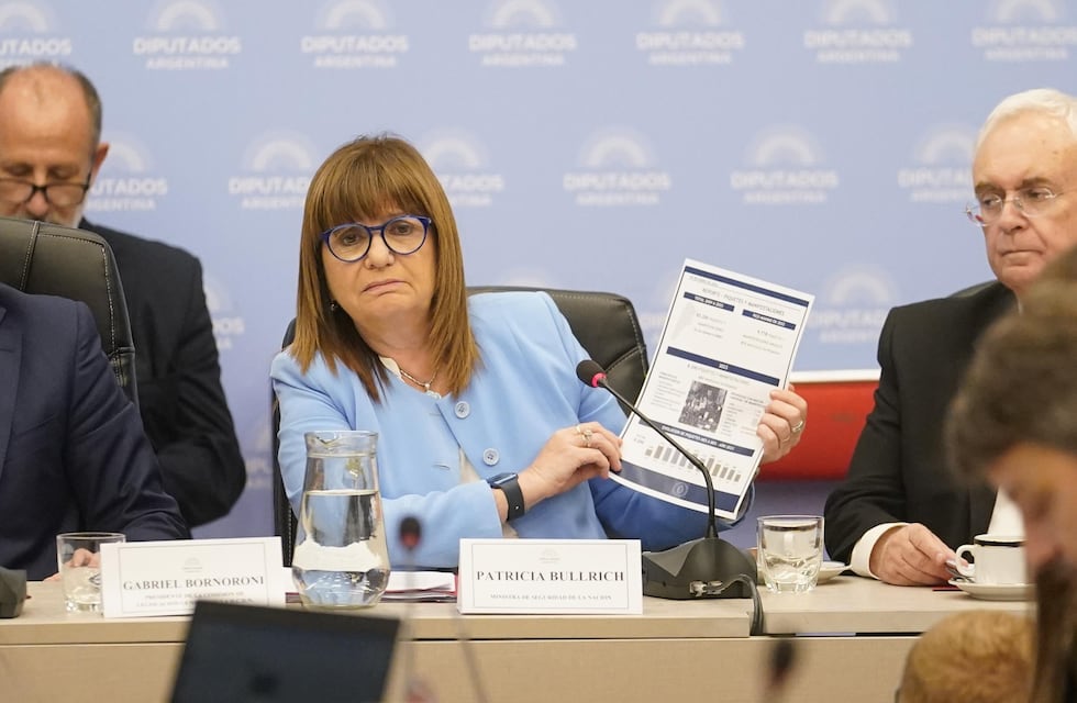 “Ley ómnibus”: Bullrich anunció la eliminación un polémico artículo por considerarlo “confuso”