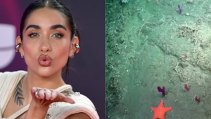 María Becerra y su guiño al stream del CONICET.