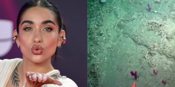 María Becerra y su guiño al stream del CONICET.