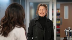 Llega la temporada 20 de Grey’s Anatomy: cuándo se estrena y dónde verELLEN POMPEO