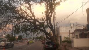 Emitieron un alerta por fuertes vientos para Córdoba.