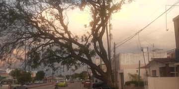 Emitieron un alerta por fuertes vientos para Córdoba.