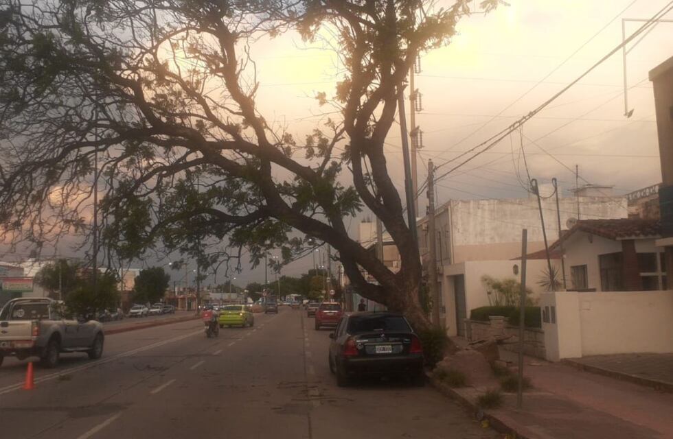 Emitieron un alerta por fuertes vientos para Córdoba: los cuidados a tener en cuenta