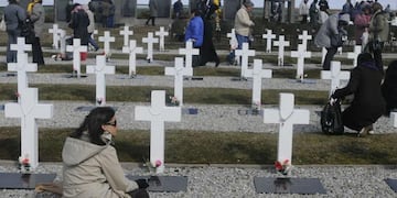 Malvinas: comenzó el Plan Proyecto Humanitario II