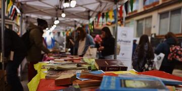 La municipalidad de Ushuaia acompañó la 30° liberación masiva de libros