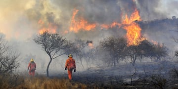 El fuego devoró más de 12 mil hectáreas en menos de una semana (archivo La Voz).