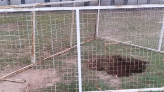 Diego de Rojas. La escuela donde una directora cayó a un pozo ciego (Foto de Facebook)..