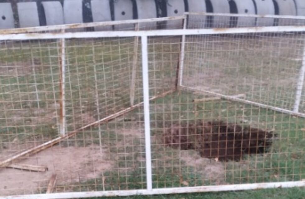 Preocupante condición de una escuela de Córdoba: docente cayó a un pozo negro