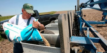 La siembra de soja avanza en Estados Unidos, en un escenario de restricciones hídricas.