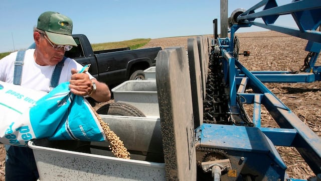 La siembra de soja avanza en Estados Unidos, en un escenario de restricciones hídricas.
