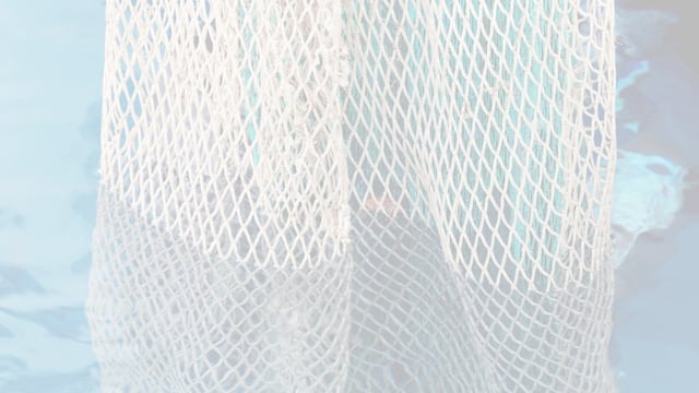 Encuentro para pesca artesanal