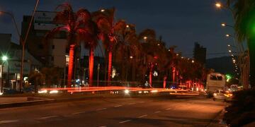 Semana de la lucha contra la poliomelitis.