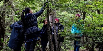 Ushuaia: continúan las visitas guiadas al Jardín Botánico del Cerro Bonete