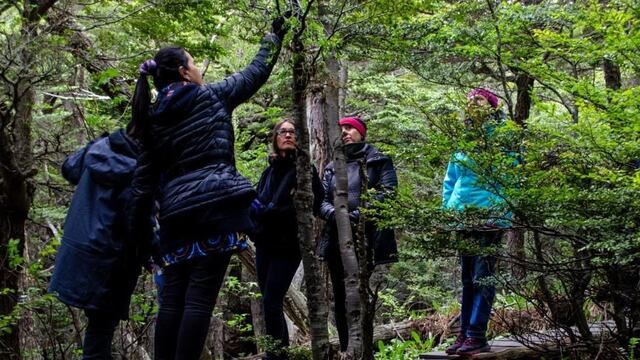 Ushuaia: continúan las visitas guiadas al Jardín Botánico del Cerro Bonete