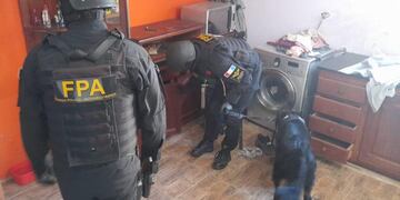 Un perro de la fuerza encontró paquetes de cocaína escondidos en el horno de la casa.