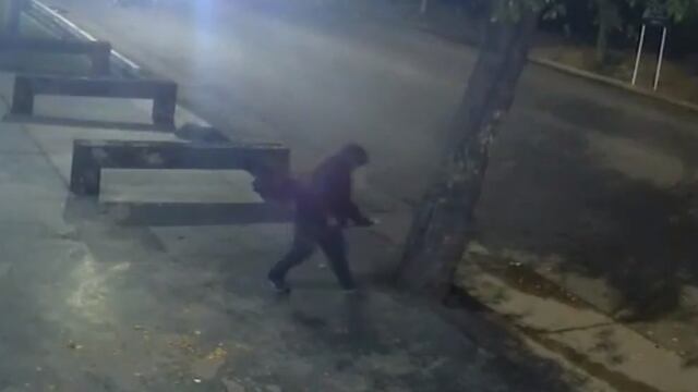 Un vecino de Tupungato aprovecha la noche para envenenar y "matar" los árboles de las veredas.
