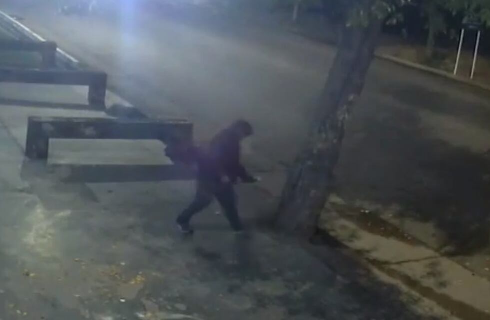 Indignación: un vecino perfora y envenena árboles frente a su casa