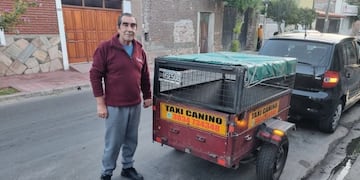 Taxi canino, la innovadora propuesta de un catamarqueño que transporta mascotas de forma segura.