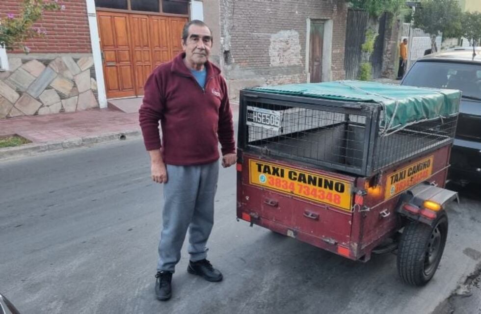Taxi canino: la innovadora propuesta de un catamarqueño para transportar mascotas