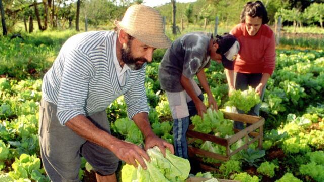 La provincia de Misiones formará parte de Consejo de la Agricultura Familiar.